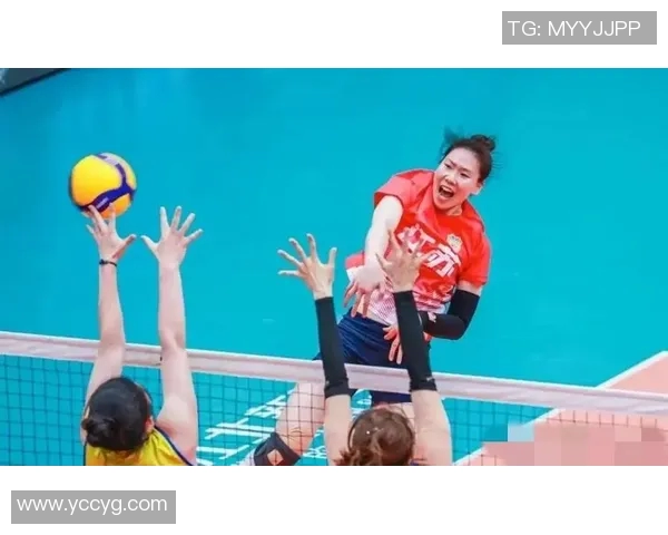 成都排球队实力强劲荣登全国排球实力排行榜第六名