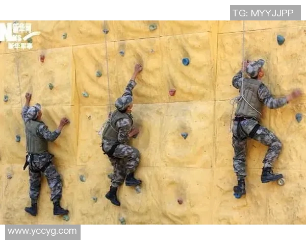 西安攀岩队荣获全国攀岩战术排行榜第三名的辉煌成就