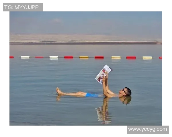 泳池明星璀璨登场畅游世界 揭秘他们的训练秘诀与生活态度